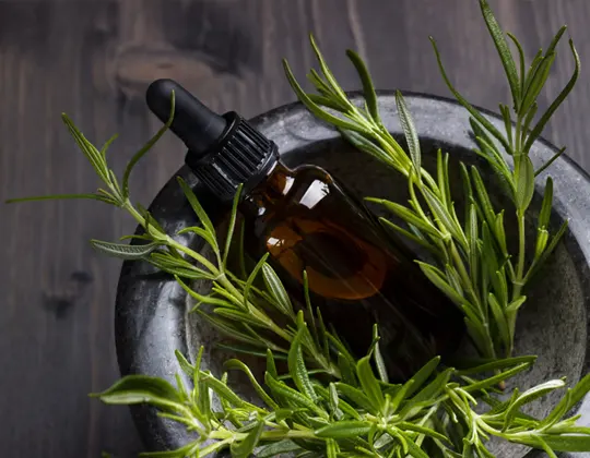A dark glass dropper bottle nestled among fresh rosemary leaves in a stone mortar, set against a wooden background