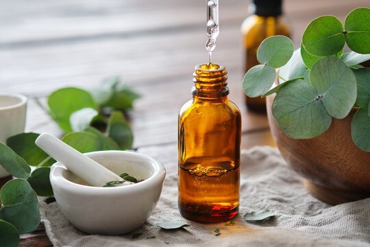 best eucalyptus oil brand in India