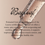 Bayleaf - Image 2