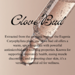 Clove Bud - Image 2