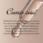 Cumin Seed - Image 2