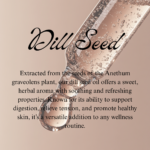 Dill Seed - Image 2