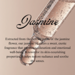Jasmine Sambac Oil - Image 3