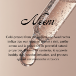 Neem - Image 2