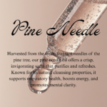 Pine Needle - Image 2