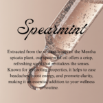 Spearmint - Image 2