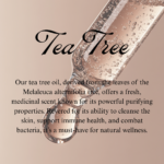 Tea Tree - Image 3