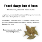 Fresh, herbal, and grounding — Bay Leaf Essential Oil is ideal for diffuser blends, workspaces, and clarity-focused routines.