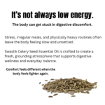 Understand how stress, irregular meals, and physical heaviness affect body balance and how grounding wellness practices may help restore comfort.