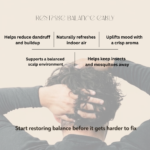 Key benefits of Citriodora oil including dandruff reduction air purification and insect repellent
