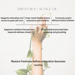 Benefits of Swastik Sage Essential Oil including cleansing aromatherapy, resilience-focused rituals, steam wellness use, and restorative botanical care.