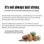 Botanical wellness educational creative explaining how stress, overstimulation, and emotional fatigue affect calmness and stability using cedarwood essential oil.