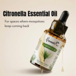 Citronella essential oil bottle for mosquito control and fresh indoor environment with clean premium background