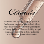 Citronella - Image 3