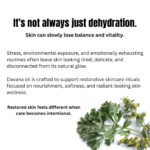 Botanical skincare educational creative explaining how stress, dehydration, and environmental exposure affect skin softness and natural radiance using davana essential oil.