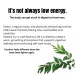 Educational wellness slide explaining digestive heaviness, irregular meals, body imbalance, and grounding self-care using curry leaf essential oil.