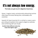 Educational wellness slide explaining digestive heaviness, irregular meals, body imbalance, and grounding self-care using dill seed essential oil.
