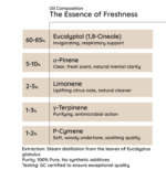 Eucalyptus - Image 6