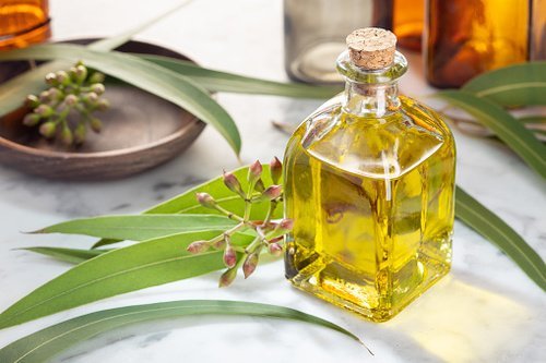 best eucalyptus oil brand in India