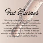 Fat Burner - Image 2