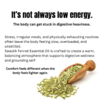 Educational wellness creative about digestive heaviness, bloating, irreg