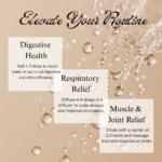 Black Pepper - Image 3