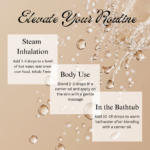 Eucalyptus - Image 4