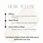 Sage essential oil usage guide featuring diffuser rituals, steam wellness practices, mindfulness routines, and cleansing aromatic self-care experiences.