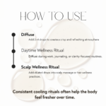 Spearmint essential oil usage guide featuring diffuser rituals, daytime wellness routines, cooling body care practices, and refreshing bath steam self-care