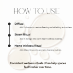 Thyme essential oil usage guide featuring diffuser rituals, steam wellness practices, seasonal self-care routines, and cleansing aromatic experiences.