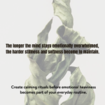 Luxury botanical wellness creative featuring clary sage essential oil messaging focused on emotional balance, mindful relaxation, calming aromatherapy, and restorative wellness rituals.