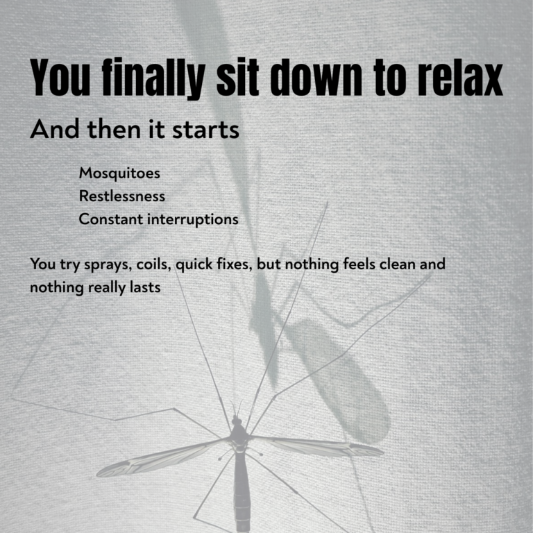 Mosquito on wall showing recurring mosquito problem and ineffective sprays causing constant interruptions