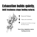 Luxury wellness creative highlighting seasonal fatigue, emotional exhaustion, and restorative oregano essential oil rituals for freshness and balance.