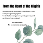 Eucalyptus oil sourced from Nilgiris region known for high potency purity and consistent essential oil quality