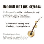 Explanation of dandruff caused by scalp buildup and imbalance and stagnant indoor air