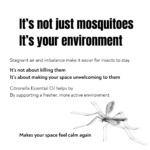 Explanation of stagnant air and environment imbalance attracting mosquitoes in indoor space