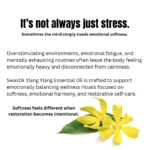 Botanical wellness educational creative explaining how stress, emotional fatigue, and overstimulation affect calmness and emotional balance using ylang ylang essential oil.