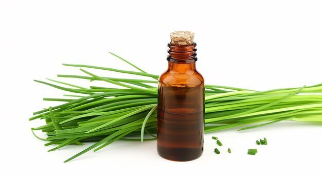 Citronella Oil for Mosquito Bites