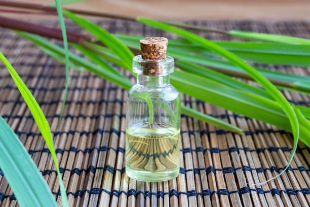 Citronella Oil for Mosquito Bites