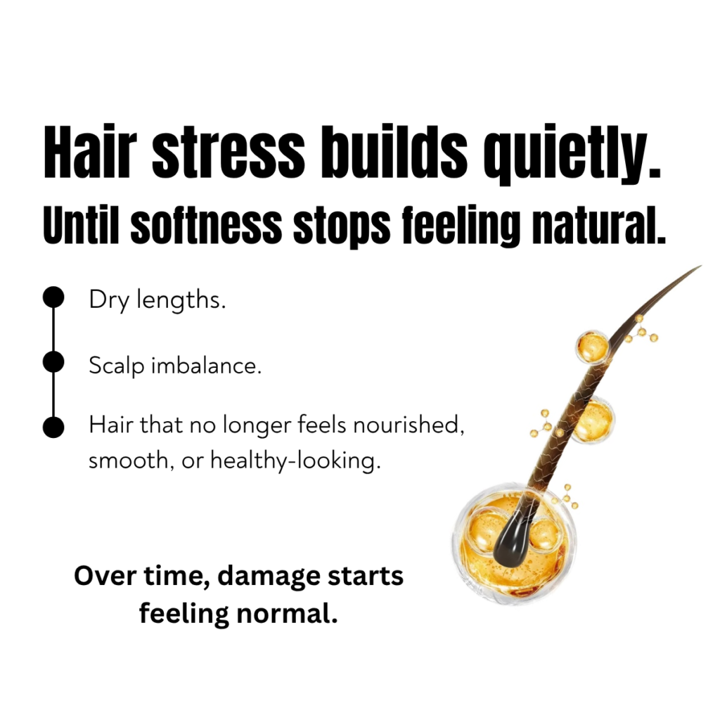 Luxury Ayurvedic hair wellness creative highlighting dry hair, scalp imbalance, and restorative amla oil rituals for nourishment and softer healthier-looking hair.
