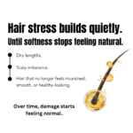Luxury Ayurvedic hair wellness creative highlighting dry hair, scalp imbalance, and restorative amla oil rituals for nourishment and softer healthier-looking hair.