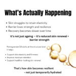 pomegranate oil helps improve skin elasticity moisture retention and barrier strength naturally