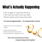 rosehip oil helps improve skin texture pigmentation and acne scars through skin renewal support