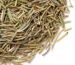 Commercial rosemary cultivation for dried herb production in India.